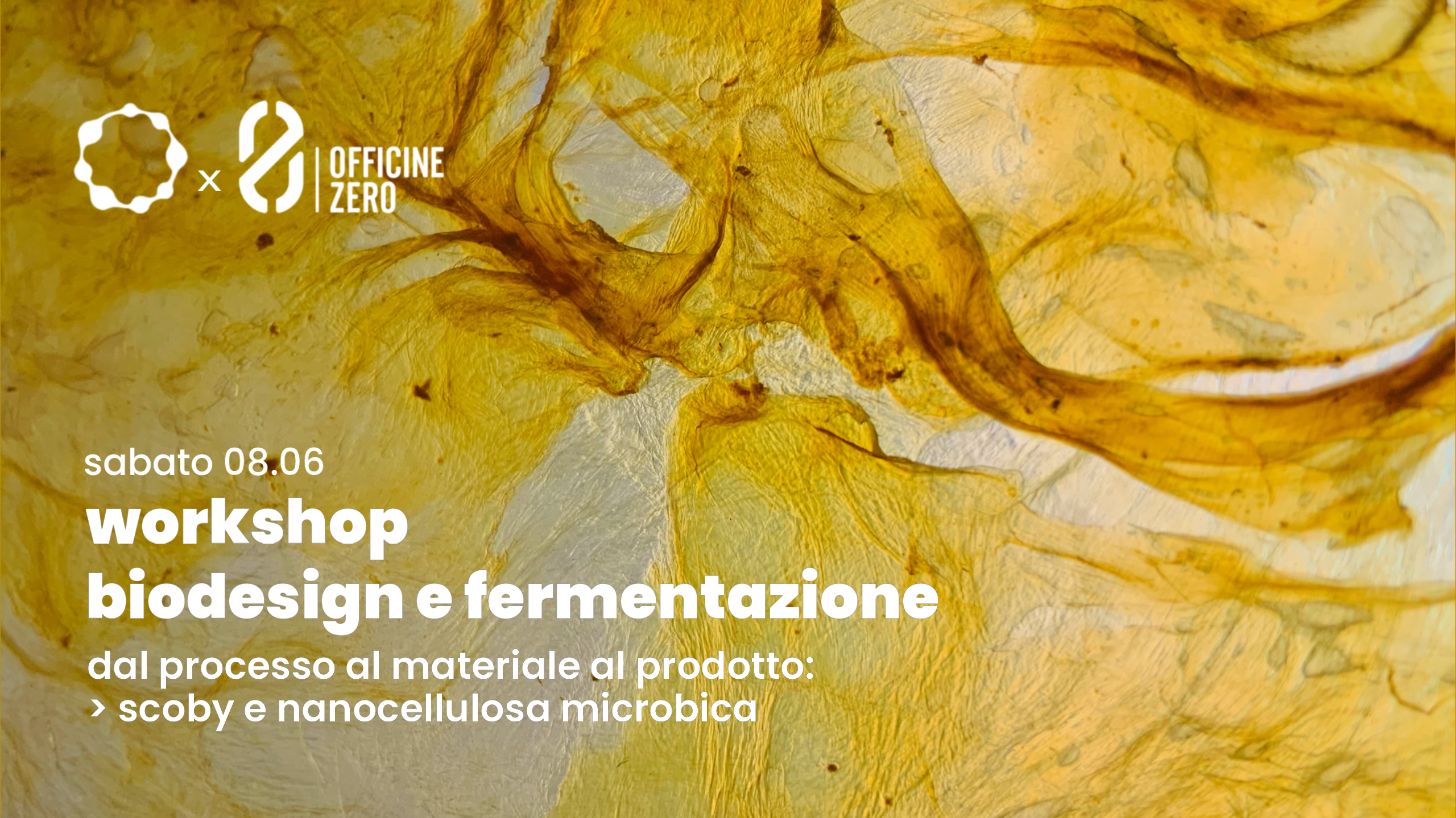Workshop biodesign e fermentazione con Lorena Trebbi